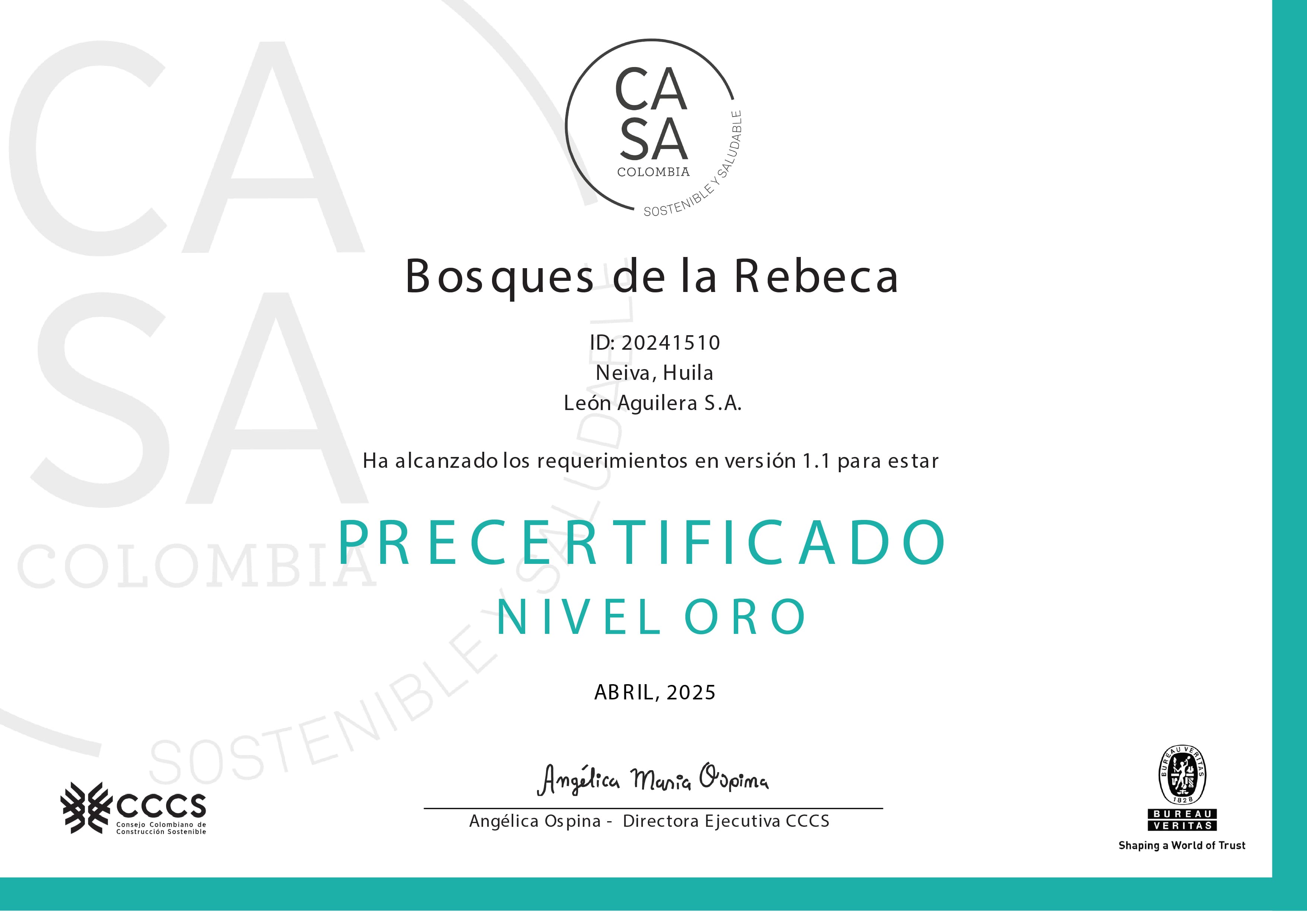 Certificado CASA 1
